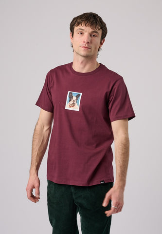 Antwrp FRENCH BULLY TEE BTS466-L001S 305 Shady Red