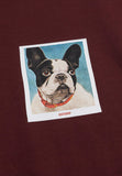 Antwrp FRENCH BULLY TEE BTS466-L001S 305 Shady Red