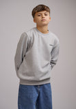 Antwrp Junior BASIC CREW NECK SWEAT KSW098R-L008 204 Grey chiné