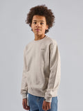 AntwrpJuniorSNEAKYTIGERBACKPRINTSWEATERKSW519L008114Linen__2
