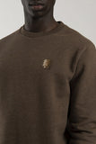 Antwrp TREE SWEATER  BSW262-L008 600 Brown