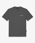 Baron Filou T-SHIRT OVAL BACKPRINT  FILOU CLI Stone Grey