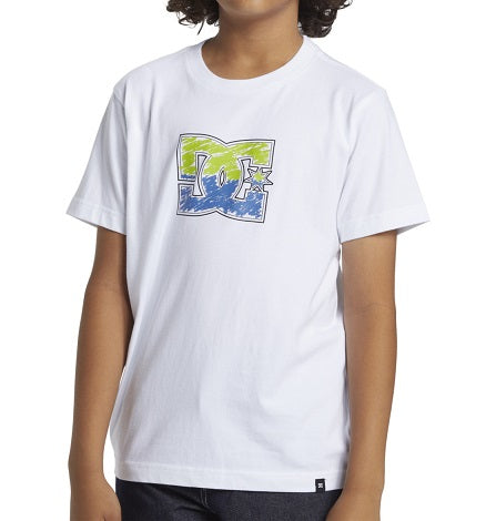 DC Boys DC STAR INLINE TEES ADBZT03271 WBBO WHITE