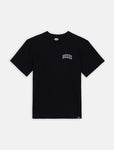 Dickies AITKIN CHEST TEE DK0A4Y80 BLACK