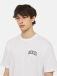 Dickies AITKIN CHEST TEE SS DK0A4Y80J971 WHITE