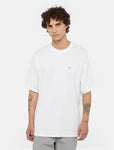 Dickies CLANCY HEAVYWEIGHT TEE DK0A4Z4L WHITE