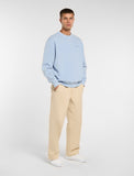 DickiesPLENTYWOODSWEATSHIRTDK0A864HL391EndlessSky__3