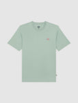 Dickies SS MAPLETON TEE DK0A4XDBK371-361 ICEBERG GREEN