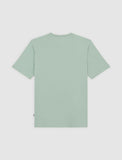 Dickies SS MAPLETON TEE DK0A4XDBK371-361 ICEBERG GREEN