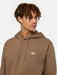 Dickies SUMMERDALE HOODIE  DK0A4Y6PMR11 MUSHROOM