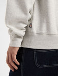 Dickies SUMMERDALE SWEATSHIRT DK0A4Y6QL191-A281 LIGHT GRAY