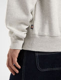 Dickies SUMMERDALE SWEATSHIRT DK0A4Y6QL191-A281 LIGHT GRAY