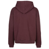 Iriedaily FLAGLOOSE HOODIE 215D380 292 Aubergine