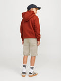 JackJonesjuniorBOWIESHORTSSOLID12172213CRCrockery__2