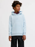 JackJonesjuniorJORFREDERIKSBERGSWEATHOOD12301416Icewater__1
