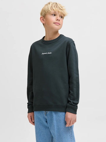 Jack&Jones junior JORNORREBRO CREW NECK SWEAT 12284064 Forest River