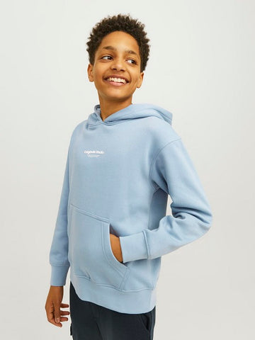 Jack&Jones junior JORVESTERBRO SWEAT 12242469 HOODIE Mountain Spring