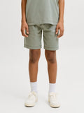 JackJonesjuniorKARLNORREBROSWEATSHORTS12292805Seagrass__1