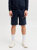 JackJonesjuniorKARLNORREBROSWEATSHORTS12292805SkyCaptain__1