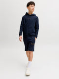 JackJonesjuniorKARLNORREBROSWEATSHORTS12292805SkyCaptain__2