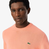LacosteKNITSWEATERAH1985-61UI2Miami__2