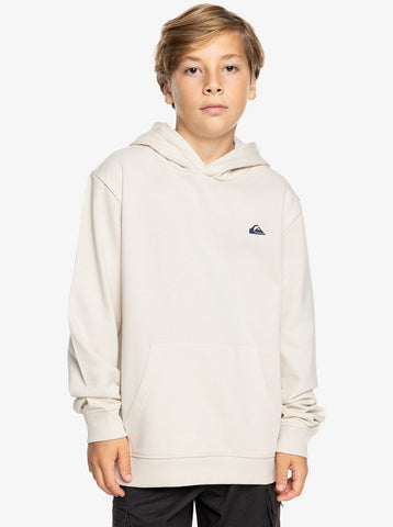 Quiksilver BASIC HOODIE EQBFT03889 WDW0