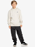 Quiksilver BASIC HOODIE EQBFT03889 WDW0