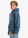 Quiksilver COMP LOGO HOODIE YOUTH EQBFT03950 BND0