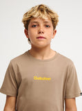 QuiksilverRAYSSSEQBZT05007TND0__4