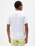 Dickies SS MAPLETON T-SHIRT DK0A4XDB WHITE